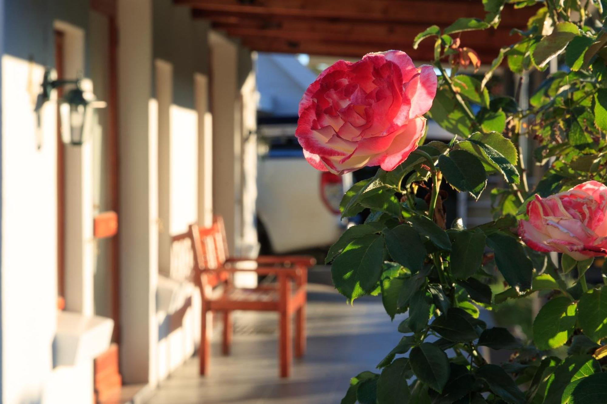 Mount Currie Inn Kokstad  Buitenkant foto
